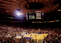 Madison Square Garden